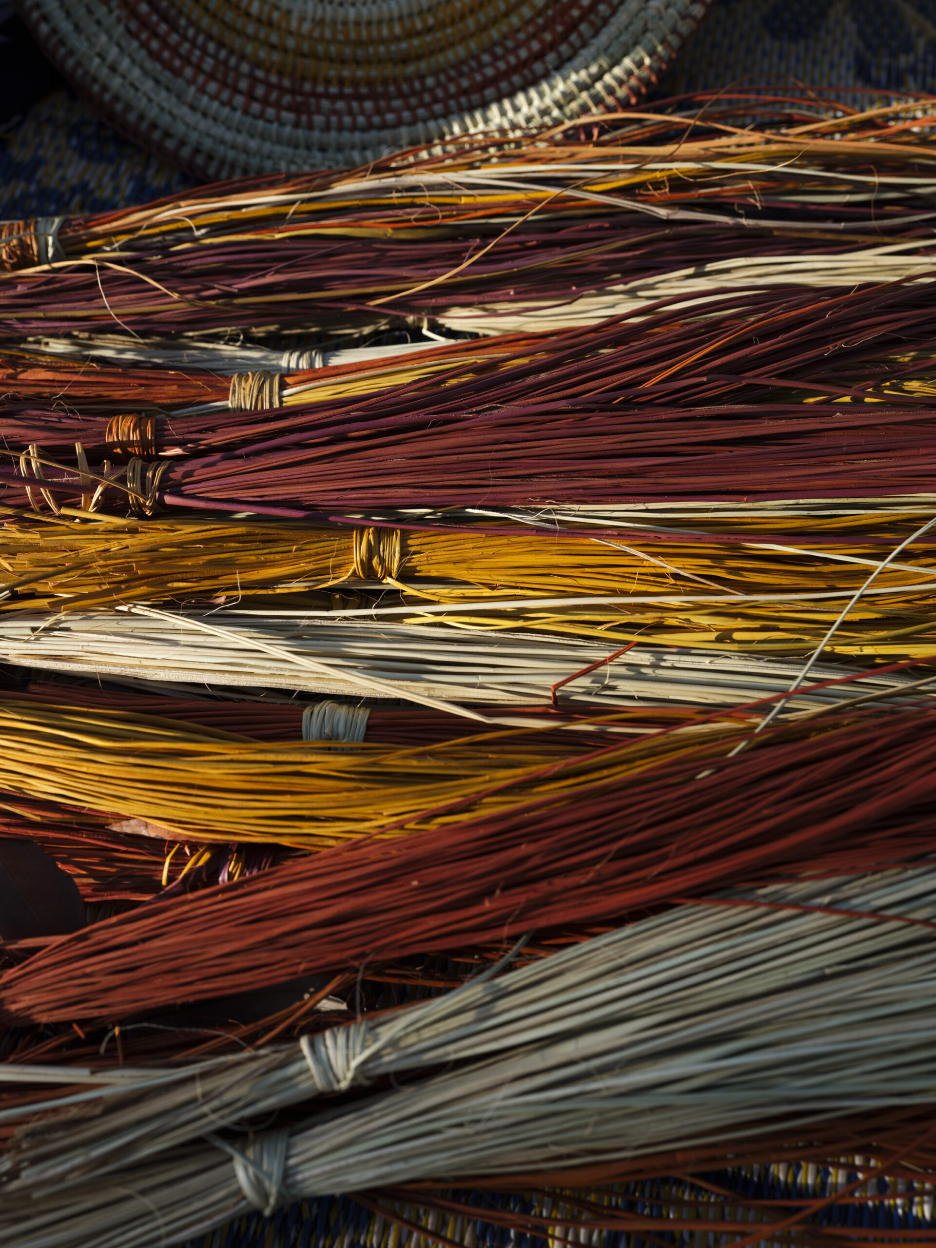 Image banner Rosemary Ganambarr