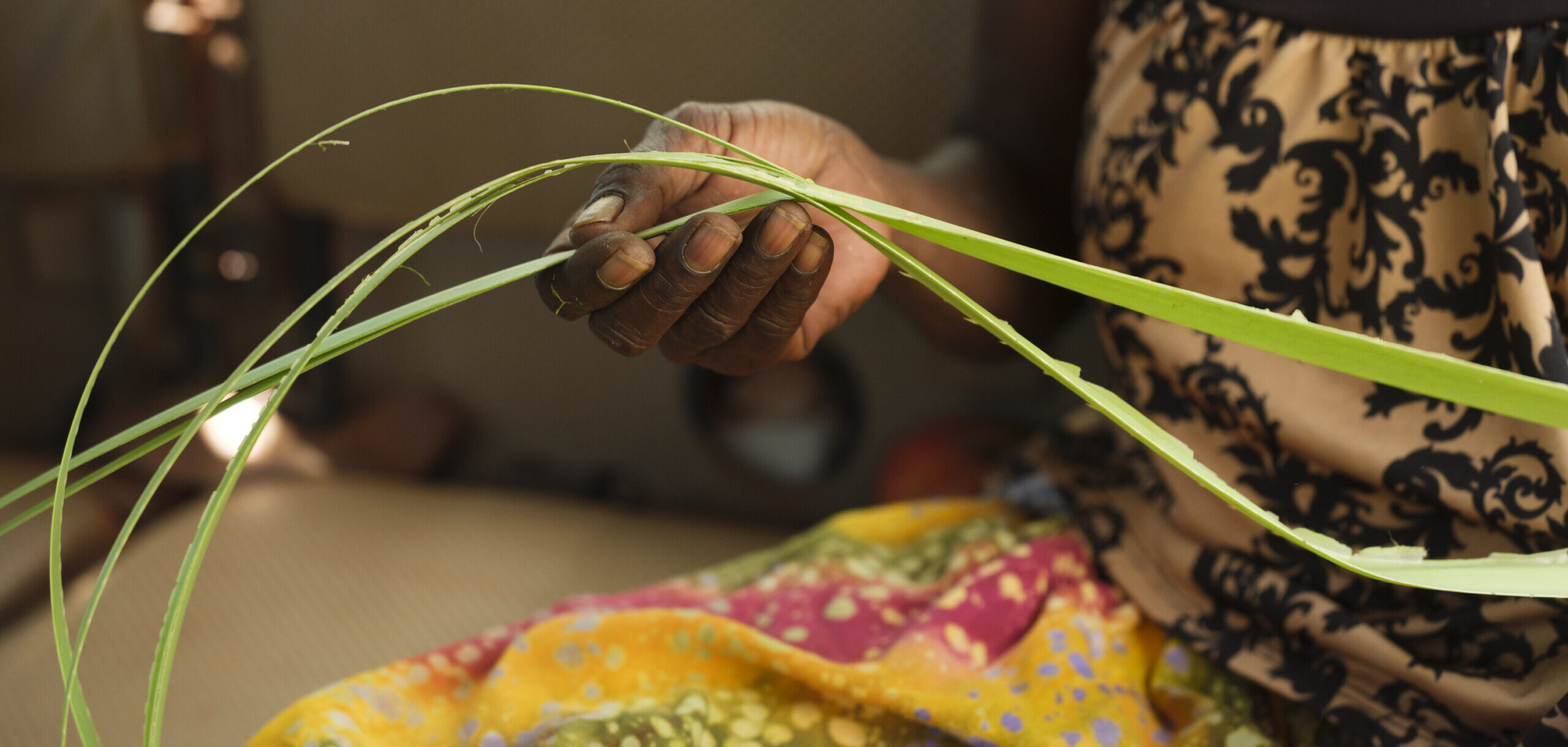 Image banner Judy Guyula